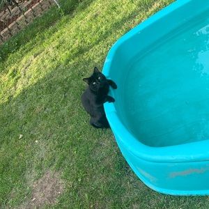 Meet your Posher, Janet